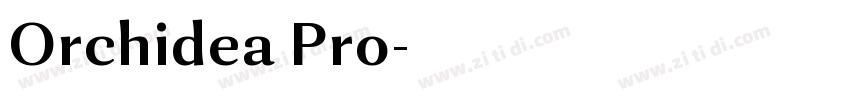 Orchidea Pro字体转换